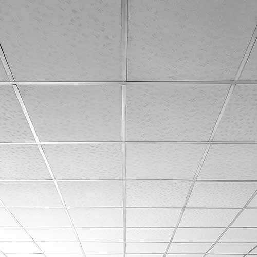 Suspended Ceiling Services